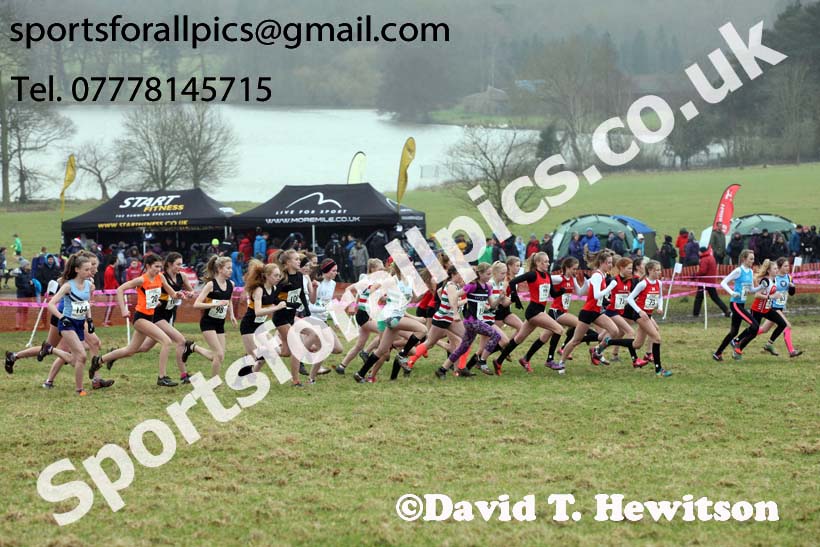 Girls under-15s, 2018 Northern Cross Country Champs., Harewood House, Leeds. Photo: David T. Hewitson/Sports for All Pics